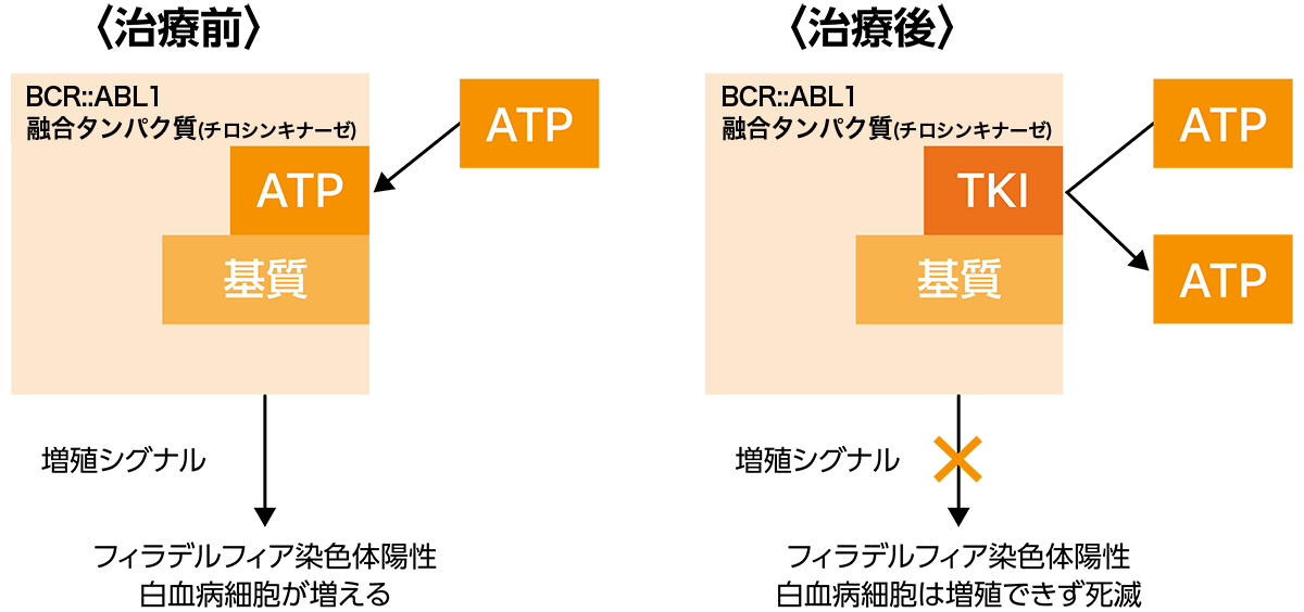 図：チロシンキナーゼ阻害薬の作用