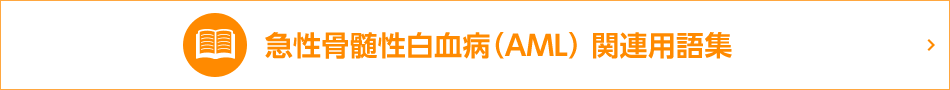 急性骨髄性白血病（AML）関連用語集