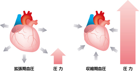 血圧の仕組み