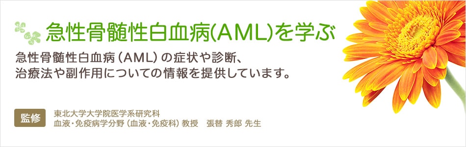 急性骨髄性白血病（AML）を学ぶ
