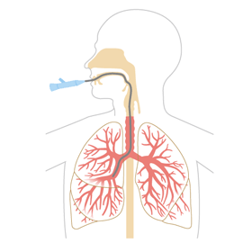気管支鏡　検査方法