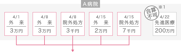 自己負担額の合算例