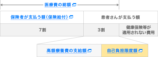 自己負担限度額