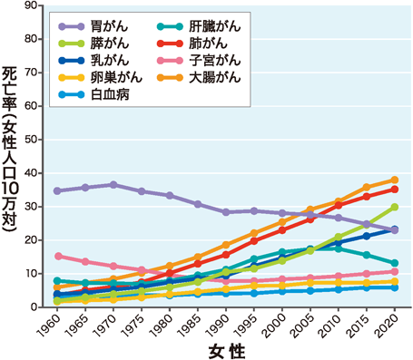 肺がんの患者数 主な部位別がん死亡率の年次推移 女性